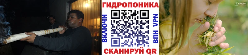 Бошки Шишки Amnesia  Купить  Краснокаменск 
